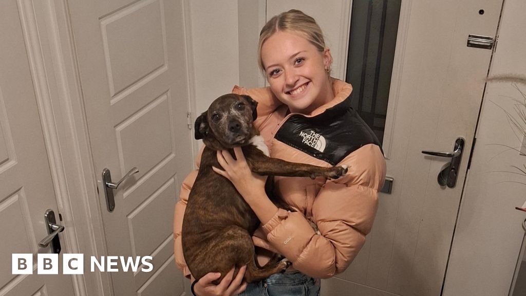 Meningitis B vaccinations calls after Pontypool student, 18, dies