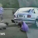 Thousands of dinosaur footprints found on Italian mountain