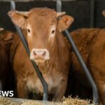 Why do Gen Z have a growing appetite for retro tech?