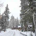 Algeria’s parliament approves law declaring France’s colonisation a crime