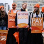 Tories to scrap petrol ban if they win next election