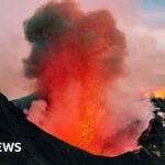 Why Putin and Modi are meeting in Delhi