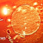 Miami mayor-elect Eileen Higgins becomes first Democrat to win in three decades