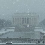 Blood cancer therapy reverses incurable leukaemia in some patients