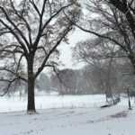 ‘Llangollen Canal collapse will massively affect business’