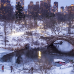 Nike Stock Surges After Tim Cook Doubles His Stake In the Company