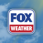 Thieves walk out of Brazil library with eight Matisse art works