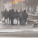 Humans cuddle up to meerkats in the monogamy rankings