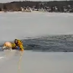 Government waters down farm inheritance tax plan