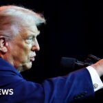 California woman shares how her home was destroyed in the Palisades Fire