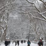 Trump says US needs to ‘own’ Greenland to prevent Russia and China from taking it